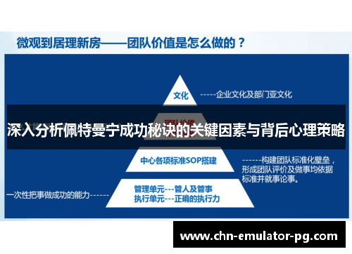 深入分析佩特曼宁成功秘诀的关键因素与背后心理策略