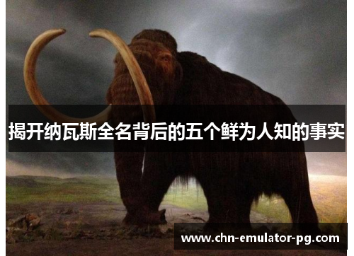 揭开纳瓦斯全名背后的五个鲜为人知的事实