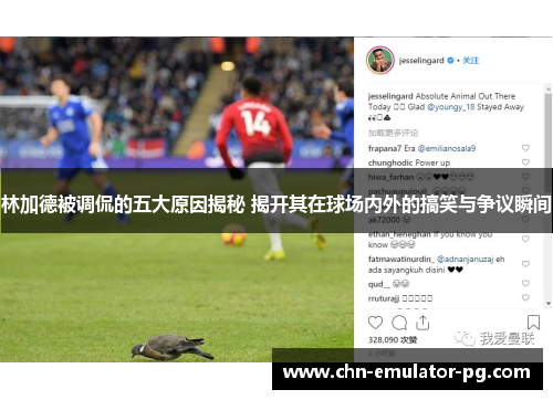 林加德被调侃的五大原因揭秘 揭开其在球场内外的搞笑与争议瞬间 林加德被调侃的五大原因揭秘 揭开其在球场内外的搞笑与争议瞬间