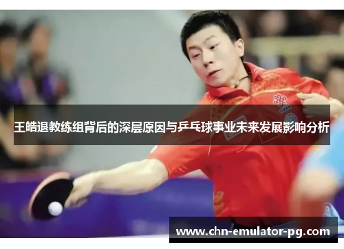王皓退教练组背后的深层原因与乒乓球事业未来发展影响分析