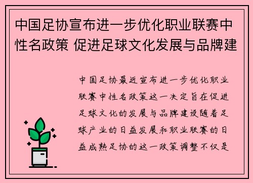 中国足协宣布进一步优化职业联赛中性名政策 促进足球文化发展与品牌建设